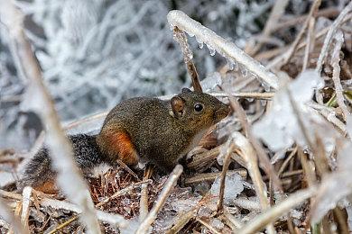 美国9月销量榜：《宇宙机器人》大热门排名第二